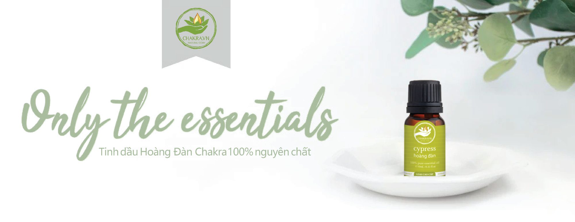 banner-tinh-dau-hoang-dan